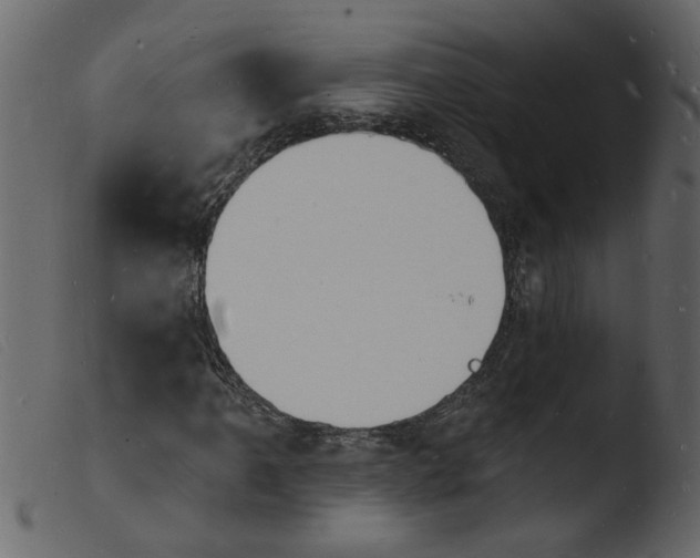 X0000103971061200810101303