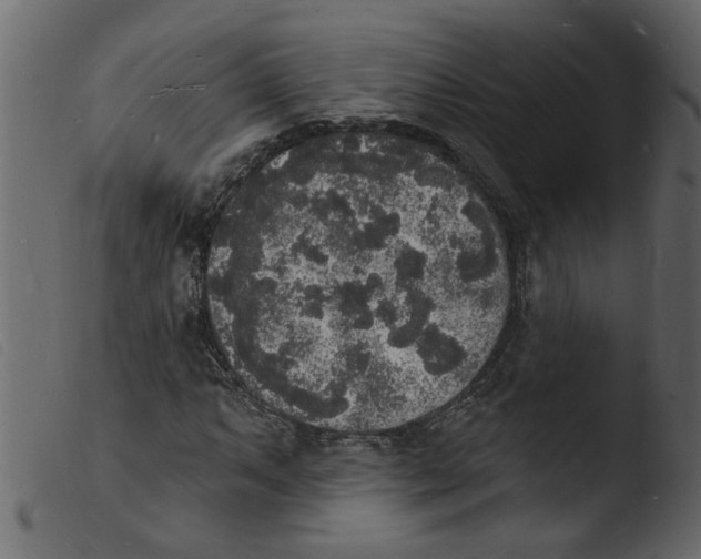 X0000103971063200810101303