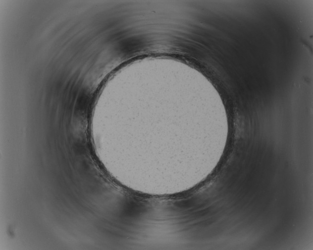 X0000103971065200810101303