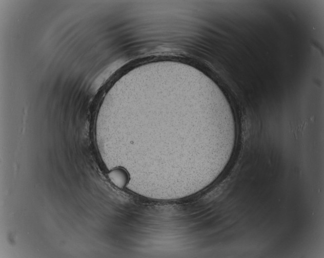 X0000103971066200810101303