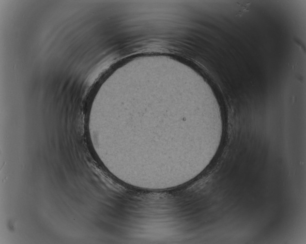 X0000103971067200810101303