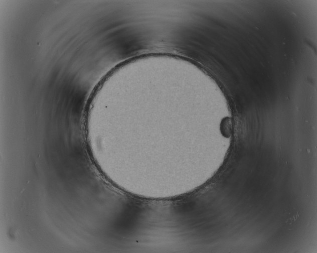 X0000103971068200810101303