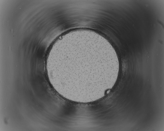 X0000103971069200810101303