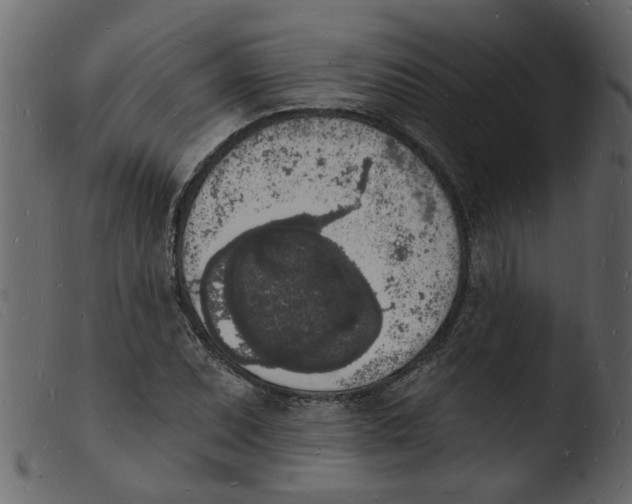 X0000103971071200810101303