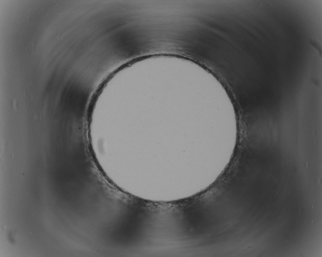 X0000103971072200810101303