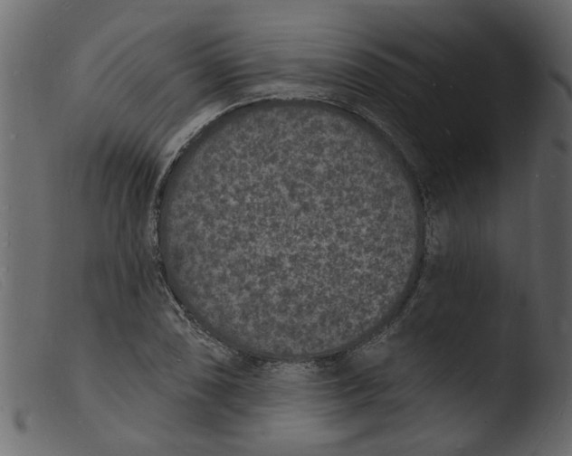 X0000103971074200810101303