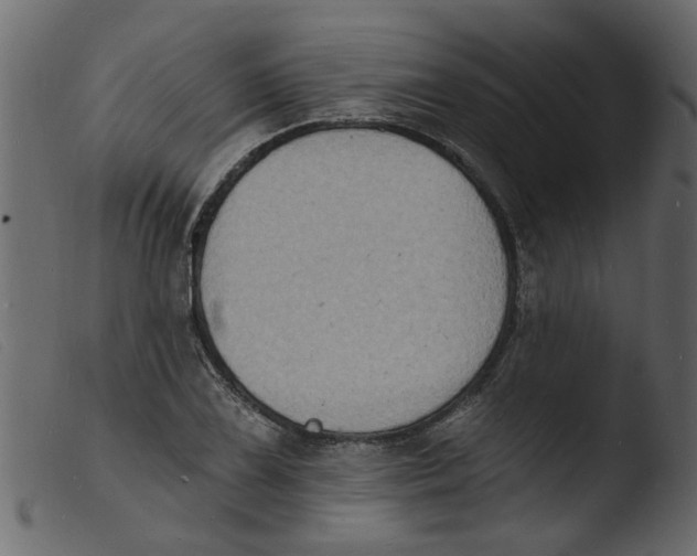 X0000103971075200810101303