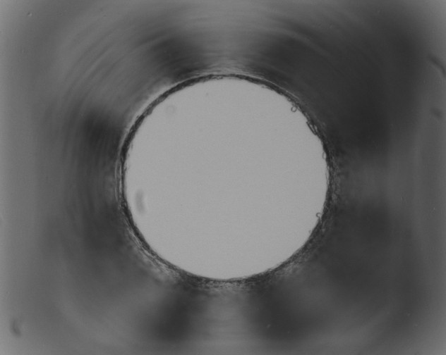 X0000103971076200810101303