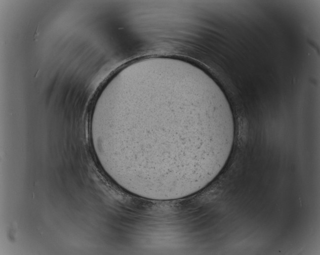 X0000103971078200810101303