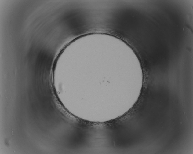 X0000103971080200810101303