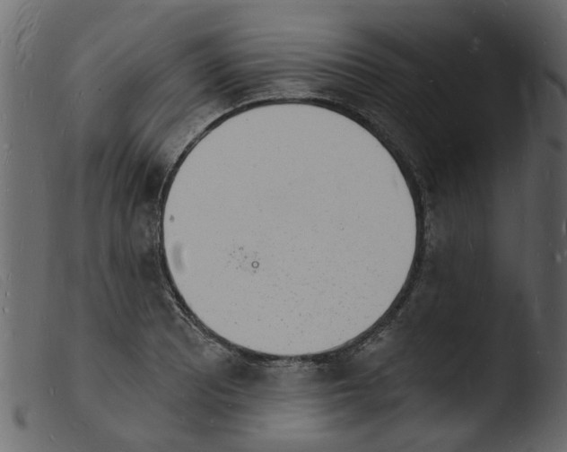 X0000103971081200810101303