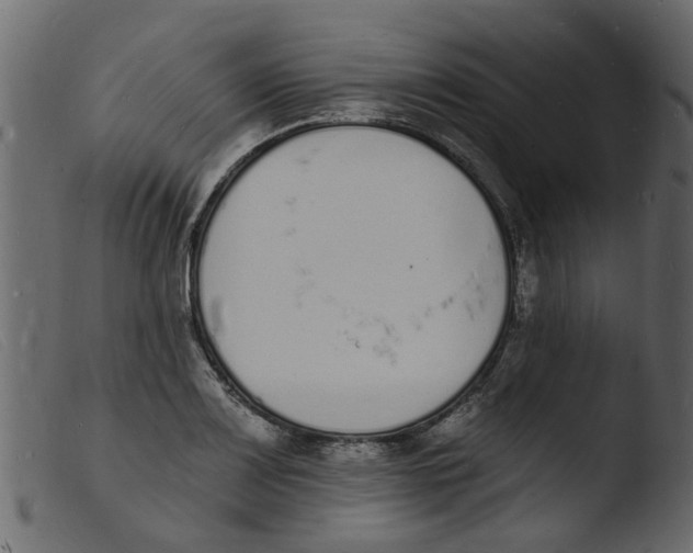 X0000103971083200810101303