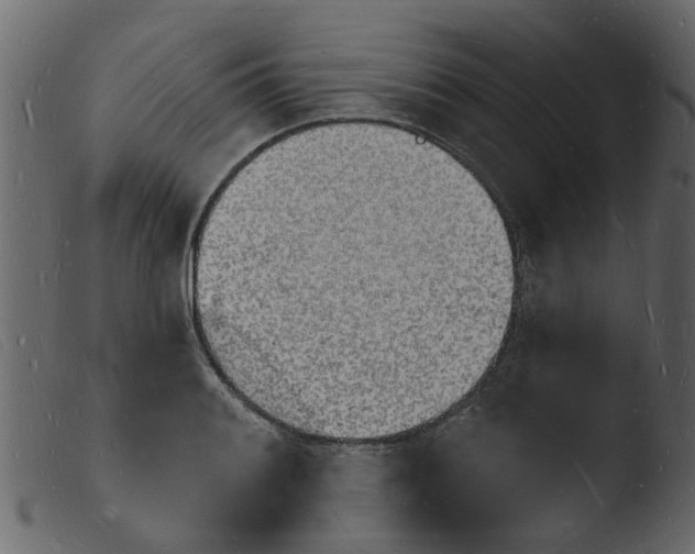 X0000103971084200810101303