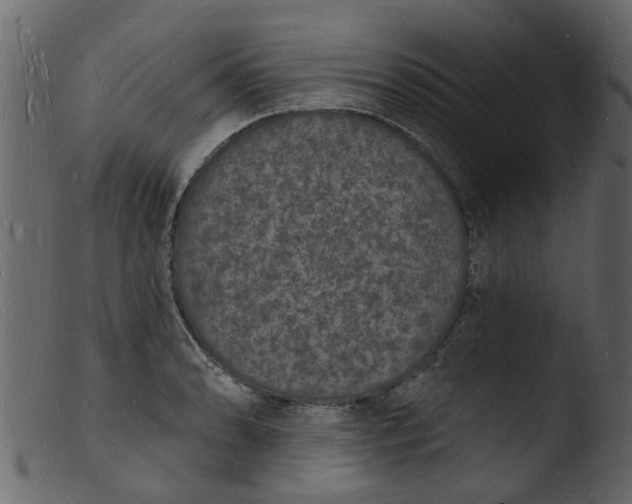 X0000103971086200810101303