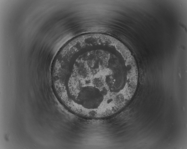 X0000103971087200810101303