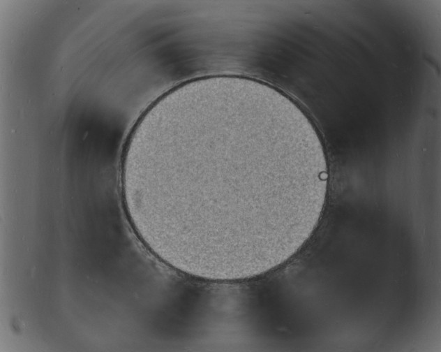 X0000103971088200810101303