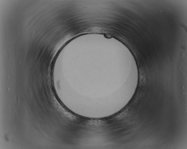 X0000103971091200810101302