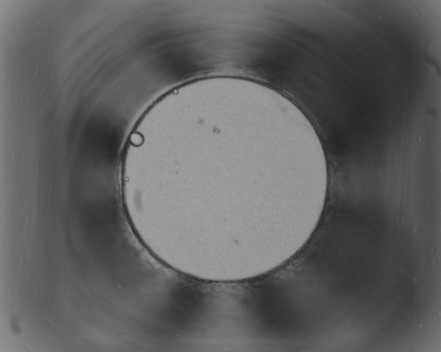 X0000103971092200810101302