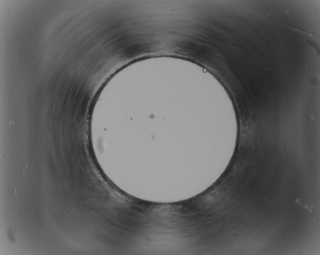 X0000103971093200810101302