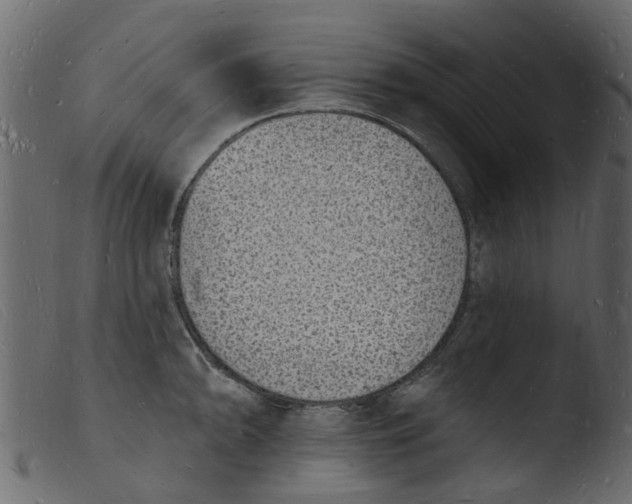 X0000103971094200810101302