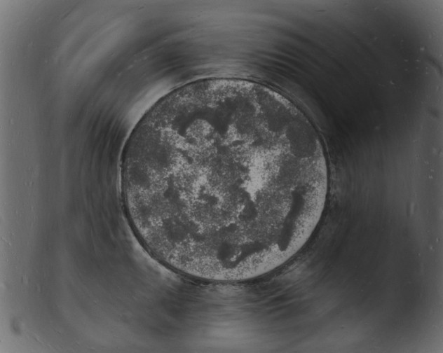 X0000103971095200810101302