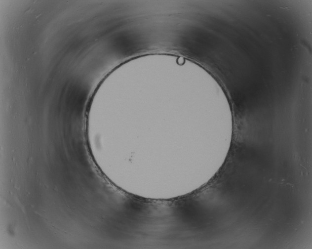 X0000103971096200810101302