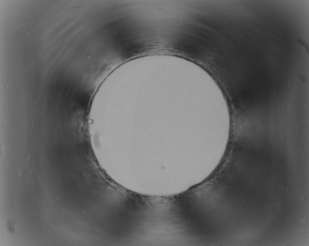 X0000103971097200810101302