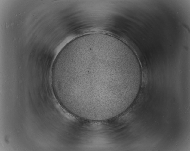 X0000103971098200810101302