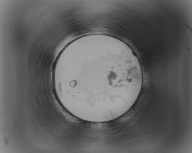 X0000103971099200810101302