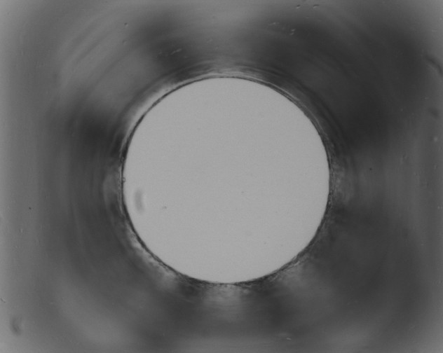 X0000103971100200810101302