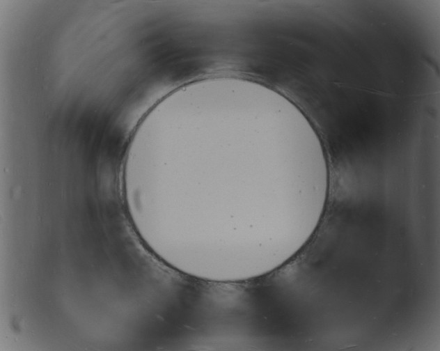 X0000103971101200810101302