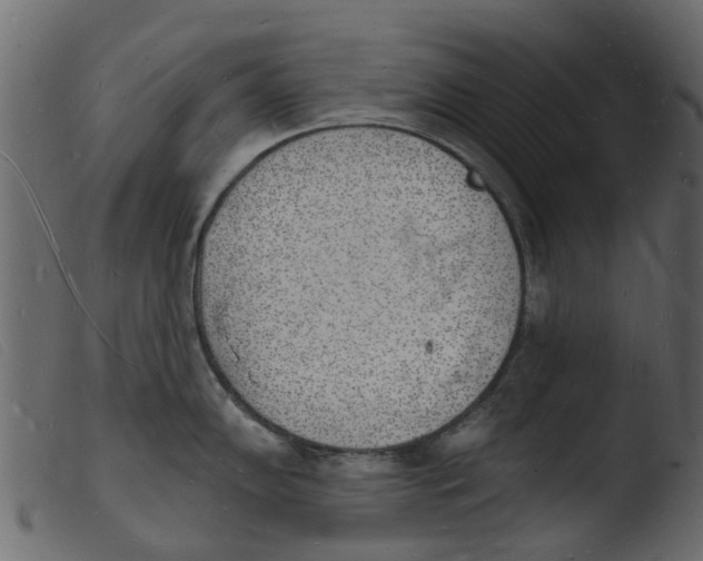 X0000103971102200810101302