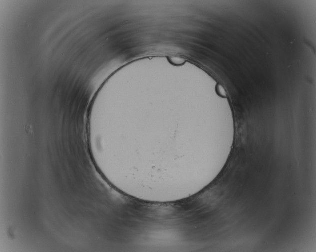 X0000103971103200810101302