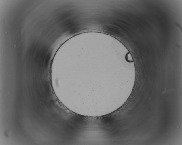 X0000103971104200810101302