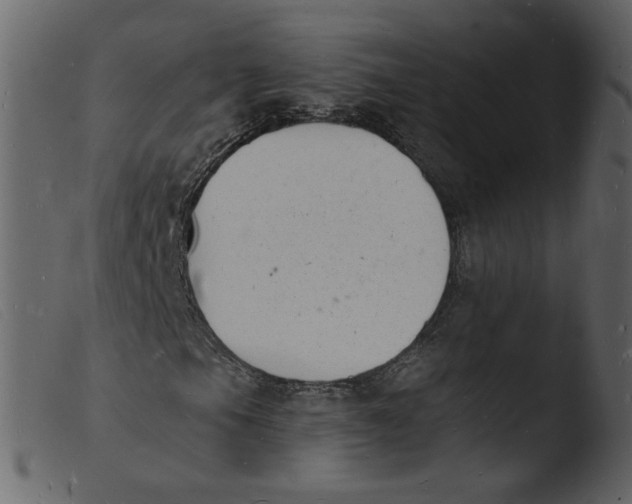 X0000103971105200810101301