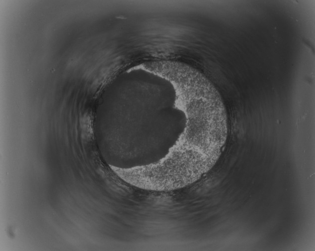 X0000103971106200810101301