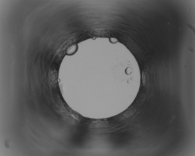 X0000103971107200810101301