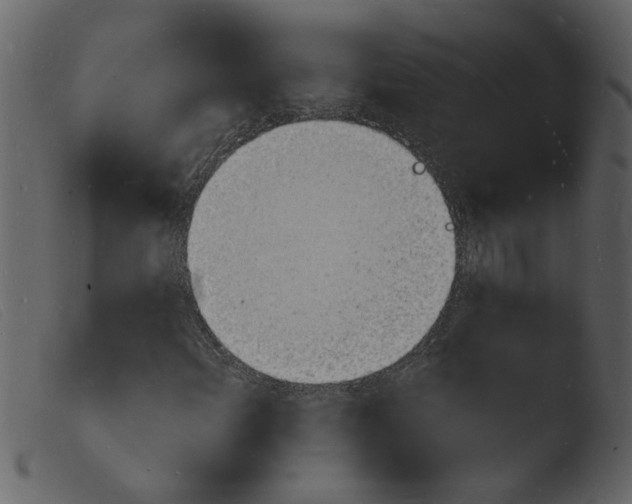 X0000103971108200810101301