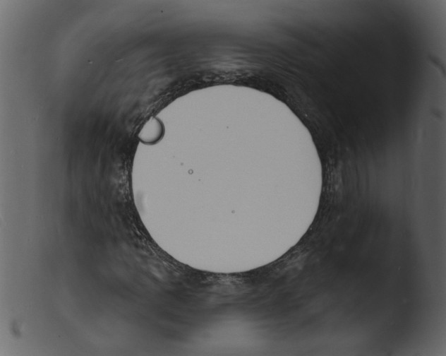 X0000103971109200810101301