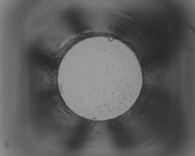 X0000103971110200810101301