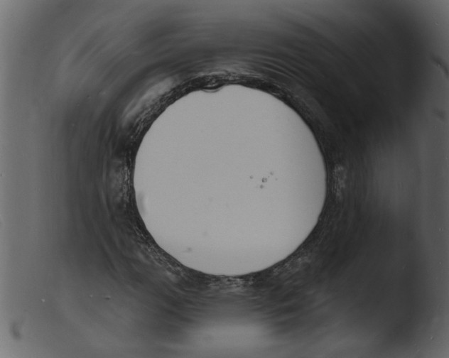 X0000103971111200810101301