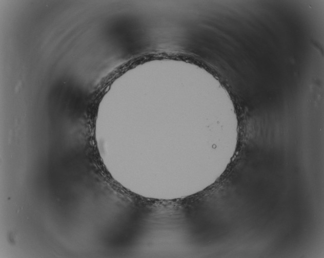 X0000103971112200810101301