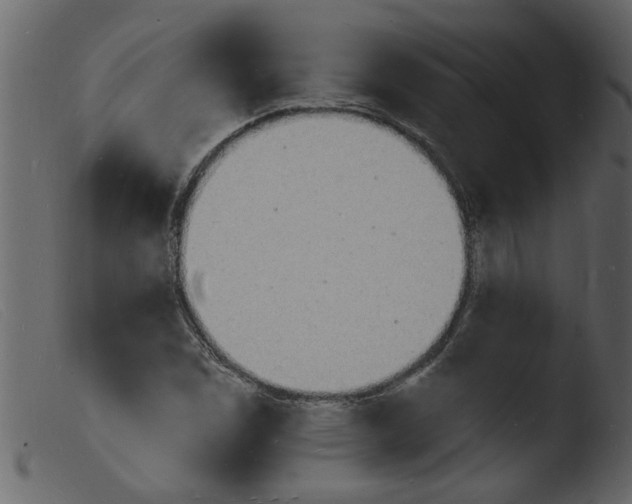 X0000103971114200810101302