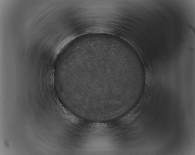 X0000103971115200810101302