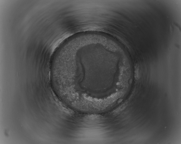 X0000103971117200810101302