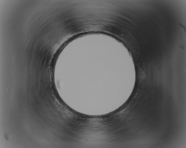 X0000103971118200810101302