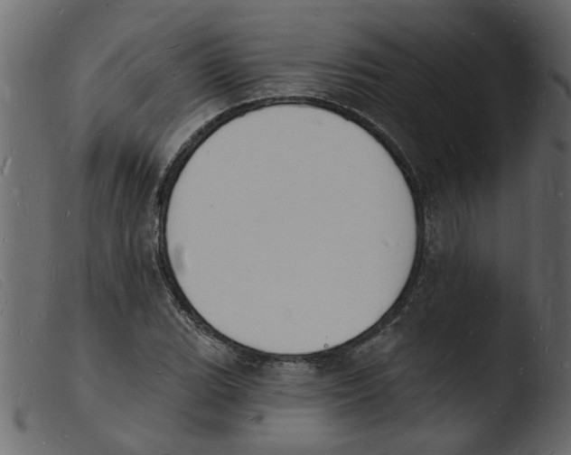 X0000103971119200810101302