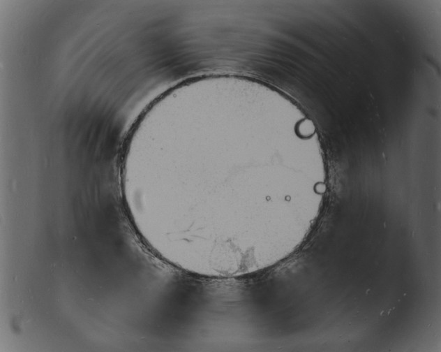 X0000103971120200810101302