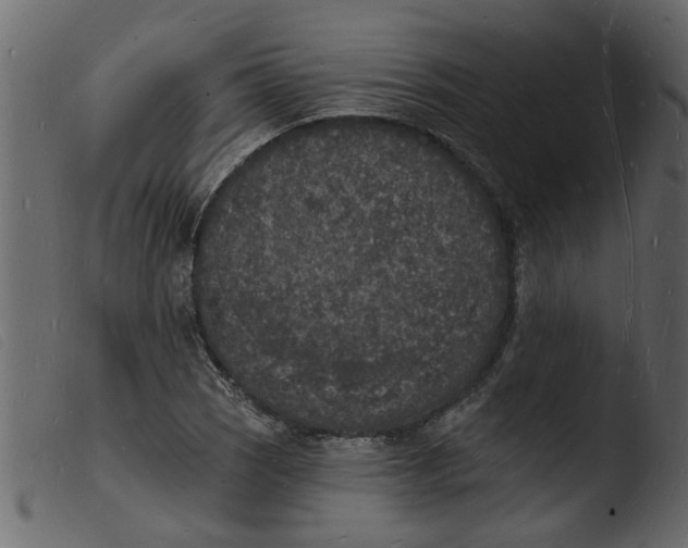 X0000103971121200810101302