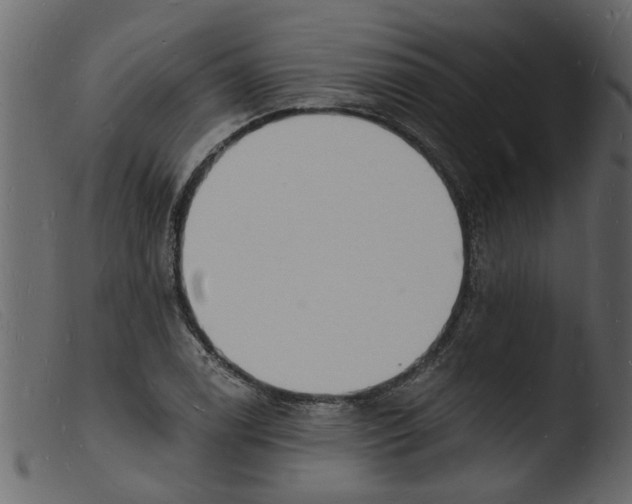 X0000103971122200810101302